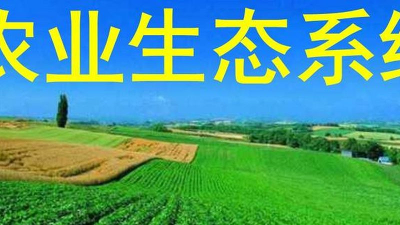 家庭农场果园管理机型号推荐