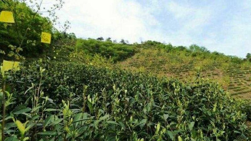 生态农业补贴申请，审批流程及时间解析