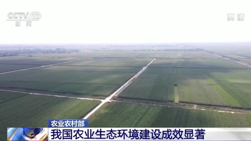小麦玉米无人机植保，为什么价格差三倍