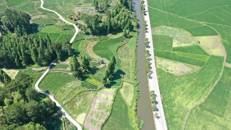 农业产业园建设标准规范：构建绿色高效农业的未来