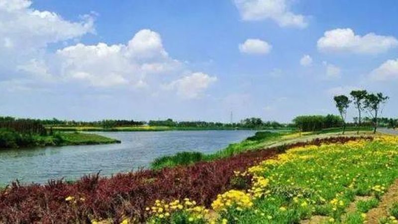 上海果蔬配送公司报价明细：揭秘背后的行业逻辑