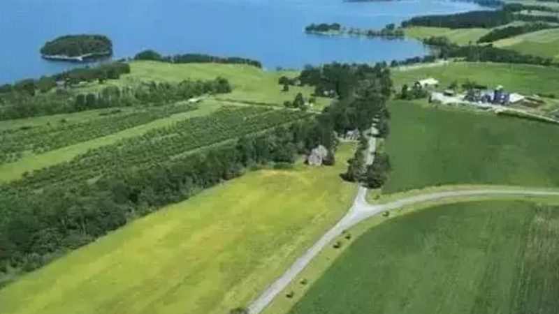 如何科学选择种子农药套餐？揭秘关键要素