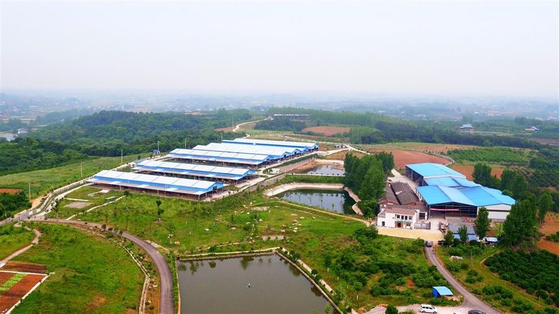成都农产品批发市场：招商电话背后的行业洞察**