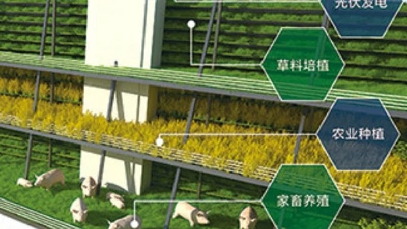 生态农场创业，投资费用知多少？**