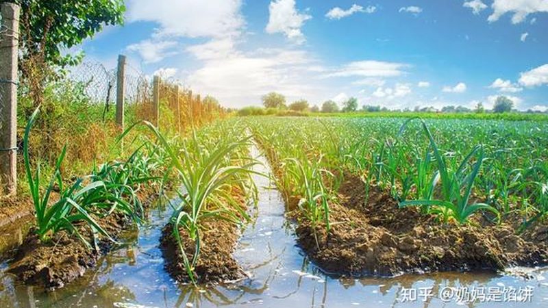 种植项目成本主要由以下几部分构成：
