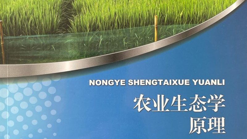 粮食种植补贴政策文件号揭秘：了解补贴背后的秘密