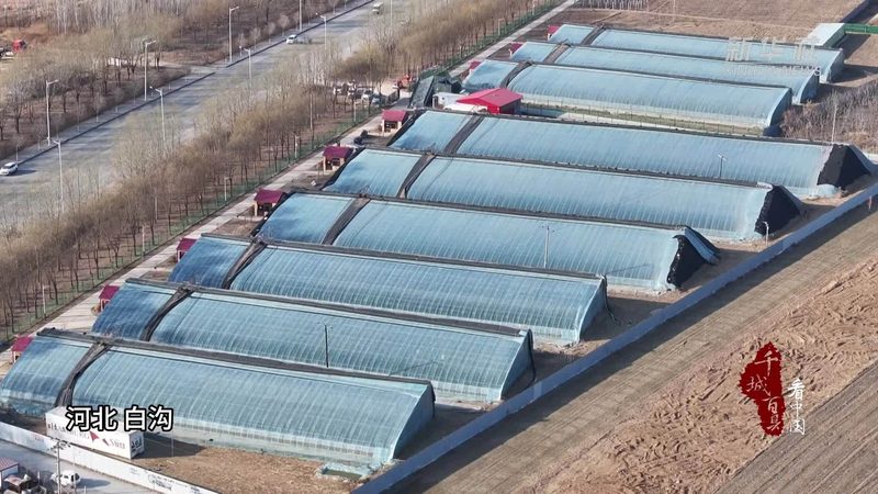 农业招标信息网站哪个好
