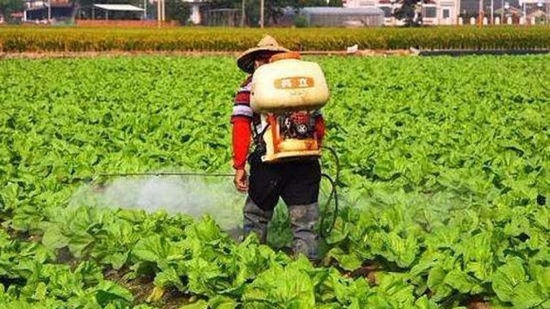 供应链和销售渠道是农业项目盈利的关键。在评估价格时，可以从以下方面进行考察：