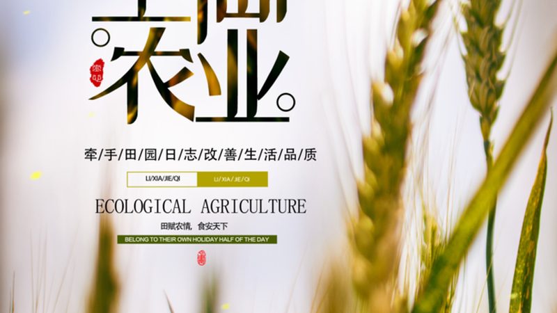 经销商绿色食品认证查询：如何准确把握品质与合规